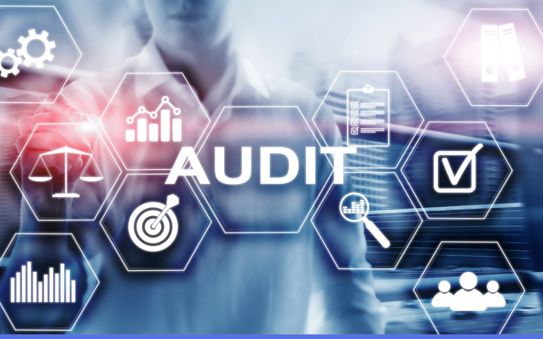 Why audit is required